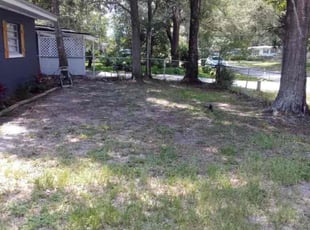 Leaf Removal by Demetree Jones for Alaska K. in Jacksonville, FL