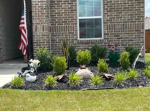 Weeding by Rene Hernandez for Barbara K. in Lockhart, TX