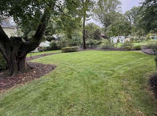Mark H.'s Lawn Maintenance service result