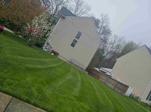 Deemo O.'s Lawn Mowing Service service result