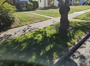 Wenona R.'s Lawn Service service result