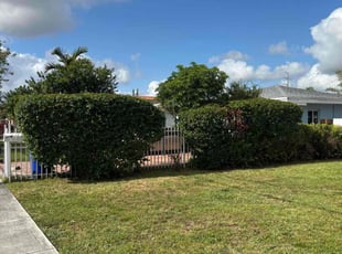 Bush Trimming by Israel Veira for Yisel H. in Miami, FL