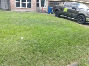 Cleanups by Kimberly Gonzales-Franco for Chris A. in Houston, TX