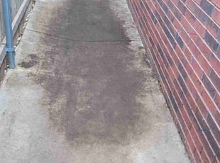 Leaf Removal by Lindsey Moss for Cindy W. in Amarillo, TX