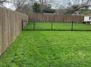 Heather T.'s Lawn Mowing service result