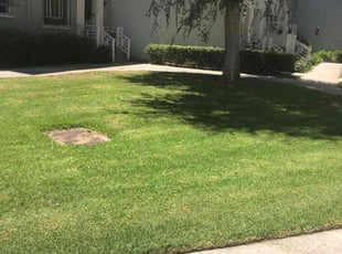Garrett L.'s Grass Cutting service result