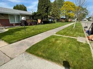 Sarah S.'s Grass Cutting service result