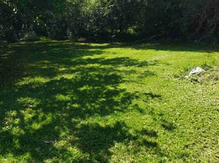 Ms. P.'s Lawn Maintenance service result