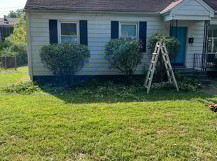 Bush Trimming by LaWanda Moses for Raychel W. in Richmond, VA