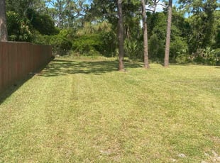 Quentine W.'s Lawn Care service result