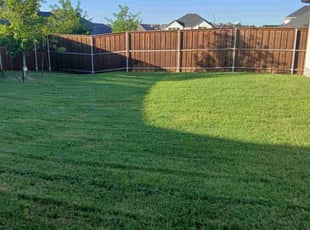 Nakeea K.'s Grass Cutting service result