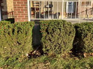 Landscaping by Brandon Morris for Daniel A. in Pittsburgh, PA