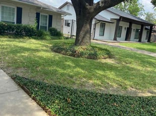 Reginal G.'s Lawn Mowing service result