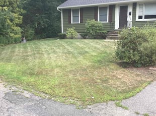 Anthony A.'s Lawn Mowing service result
