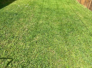 Timothy G.'s Lawn Maintenance service result
