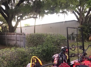 Bush Trimming by Emanuel Kadyebo for Briana P. in Leesburg, FL