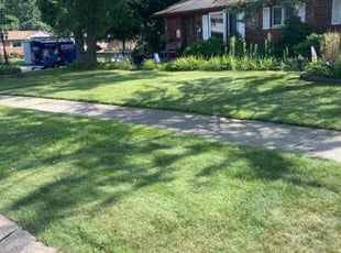 Nancy D.'s Lawn Maintenance service result