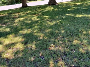 Cleanups by Jose Paz for Sophia G. in College Park, MD