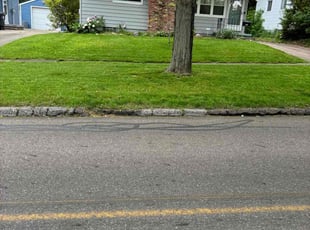 Aaliyah H.'s Lawn Care service result