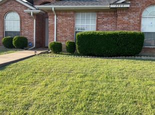 Callista B.'s Lawn Care service result