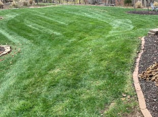Leaf Removal by Tim Kirkpatrick for Jennifer A. in Lee's Summit, MO