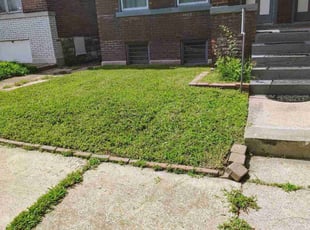 Trisha A.'s Lawn Mowing service result