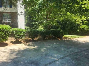 Bush Trimming by Alan Clark for Megan H. in Decatur, GA