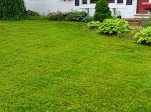 Laurie B.'s Lawn Mowing Service service result