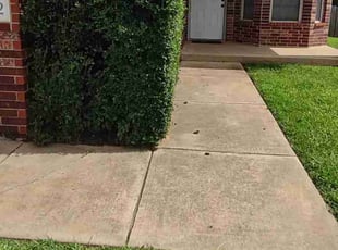 Bush Trimming by Chynna Smith for Tristian B. in Edmond, OK