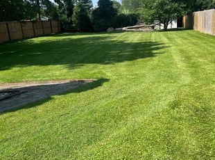 River C.'s Lawn Service service result