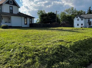 luis m.'s Lawn Mowing service result