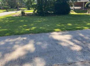 Arsheilia O.'s Lawn Service service result