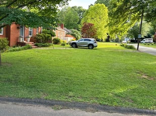Denise H.'s Lawn Maintenance service result