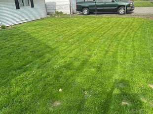 Thomas X.'s Lawn Mowing service result