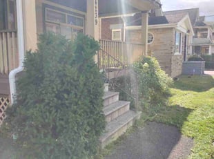 Bush Trimming by Anthony Coleman for Jerry W. in Cleveland, OH