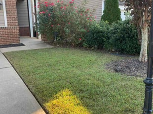 Carlos S.'s Lawn Maintenance service result
