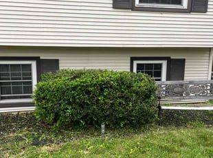 Bush Trimming by David Dangler for Anaka P. in Battle Creek, MI