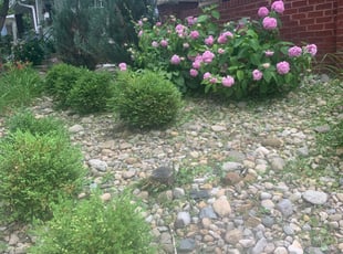 Weeding by Edgar Hernandez for Scott M. in Columbus, OH