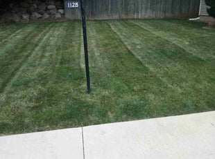 Christie P.'s Lawn Service service result