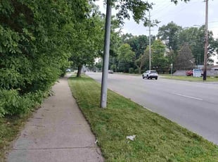 Reyna P.'s Grass Cutting service result