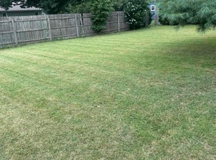 Simone W.'s Lawn Mowing service result