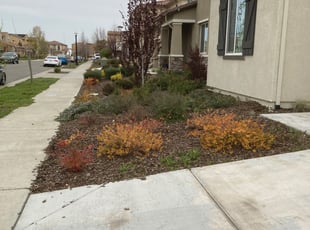 Bush Trimming by Edgar Fuerte for Christopher W. in Sacramento, CA