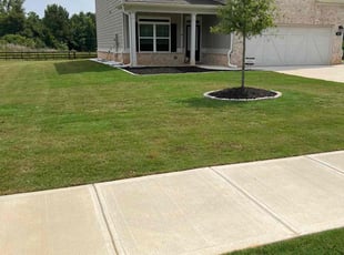Tameka L.'s Yard Cutting service result