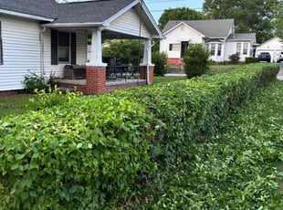 Bush Trimming by Ronald Lindsay for Lisa R. in Maryville, TN