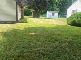 Diana M.'s Lawn Care service result