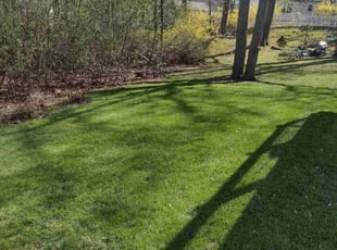 Moses M.'s Lawn Service service result