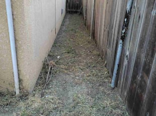 Weeding by Eric Cruz for Muhammet E. in East Palo Alto, CA