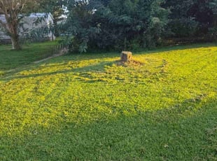 Lisa B.'s Lawn Care service result