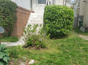 Bush Trimming by Miguel Martinez for Samir A. in Bristow, VA