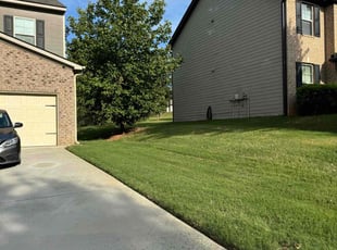 Richard H.'s Lawn Maintenance service result